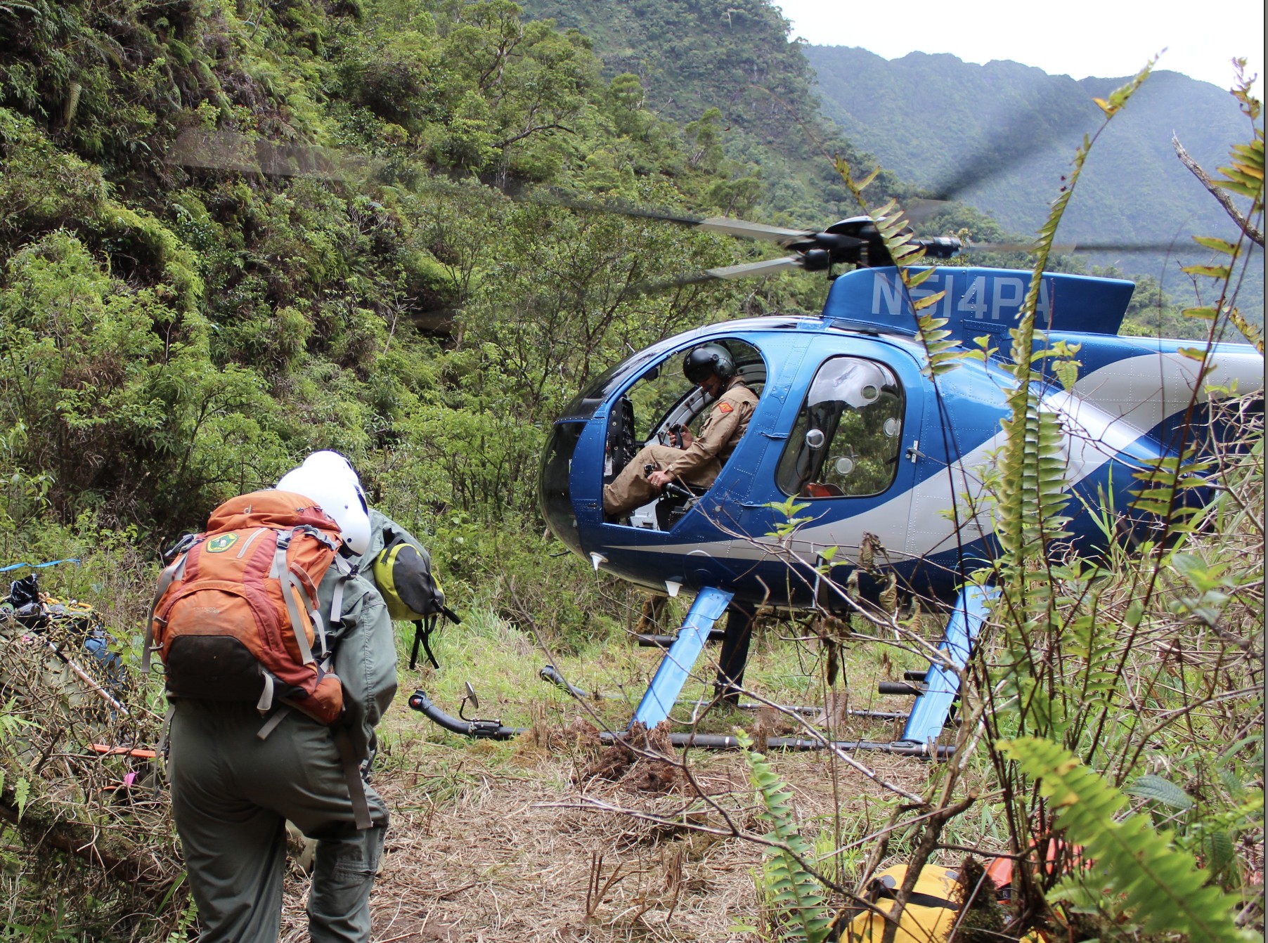 ʻAhihi-Kinaʻu Natural Area Reserve