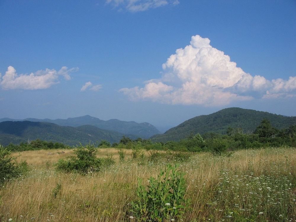Blue Ridge Pastures