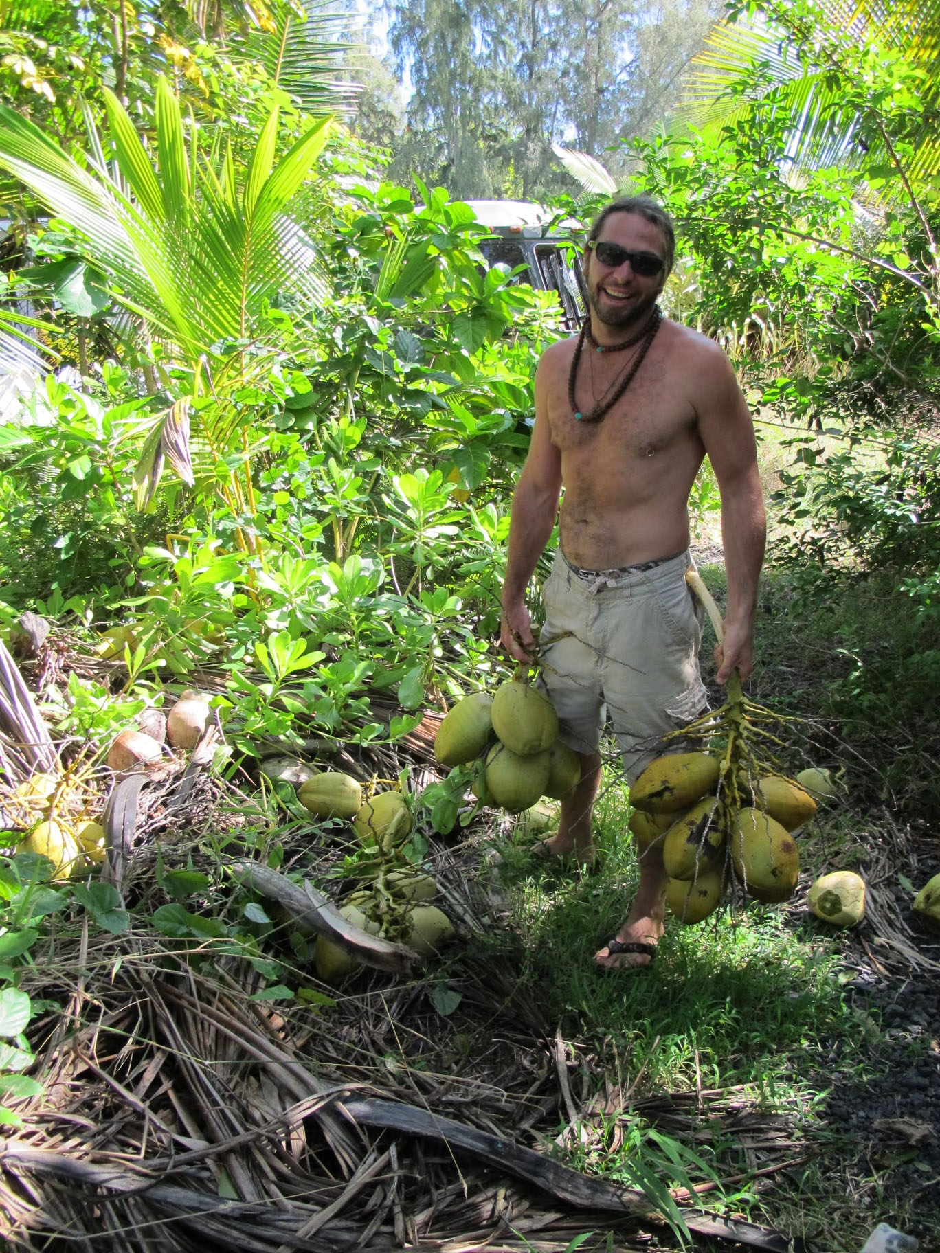 Coconut Glen's