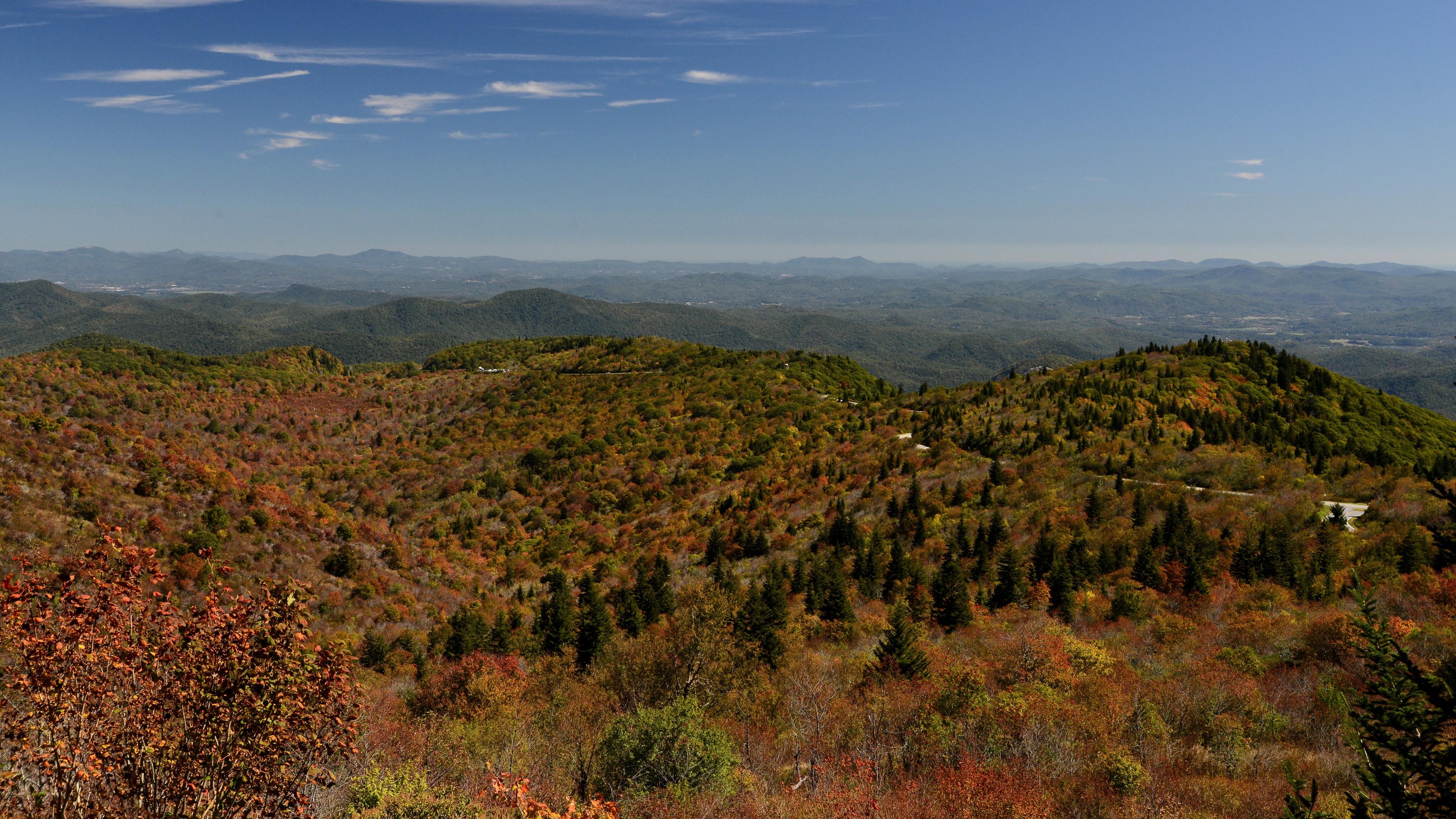 Graveyard Fields Loop Trail