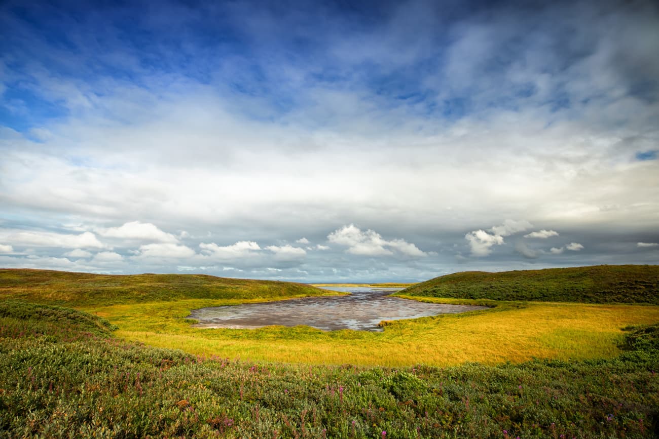 Kealia Pond National Wildlife Refuge