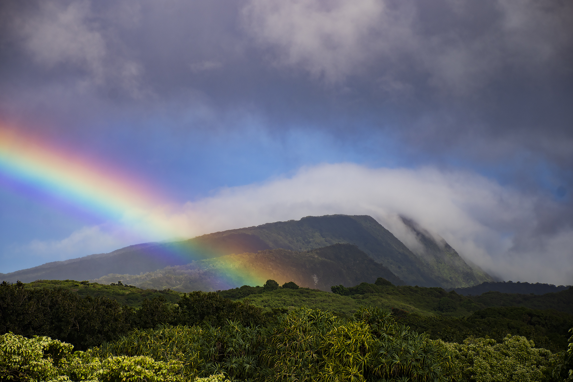 Kipahulu District, Haleakala National Park