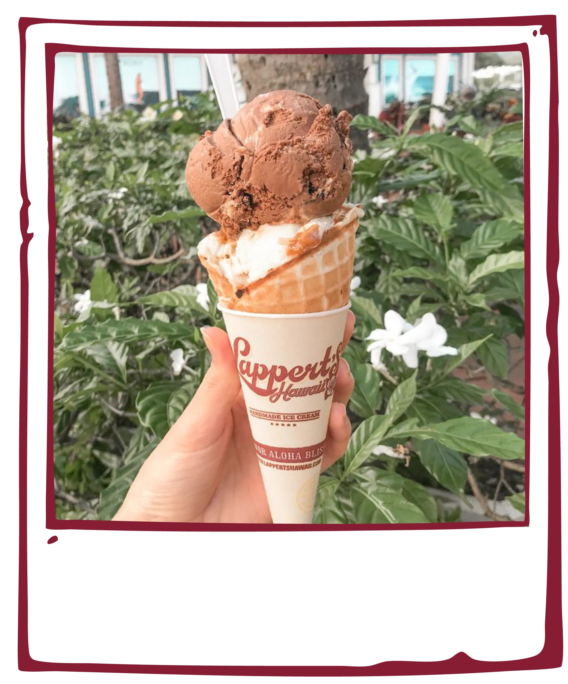 Lappert's Hawaii
