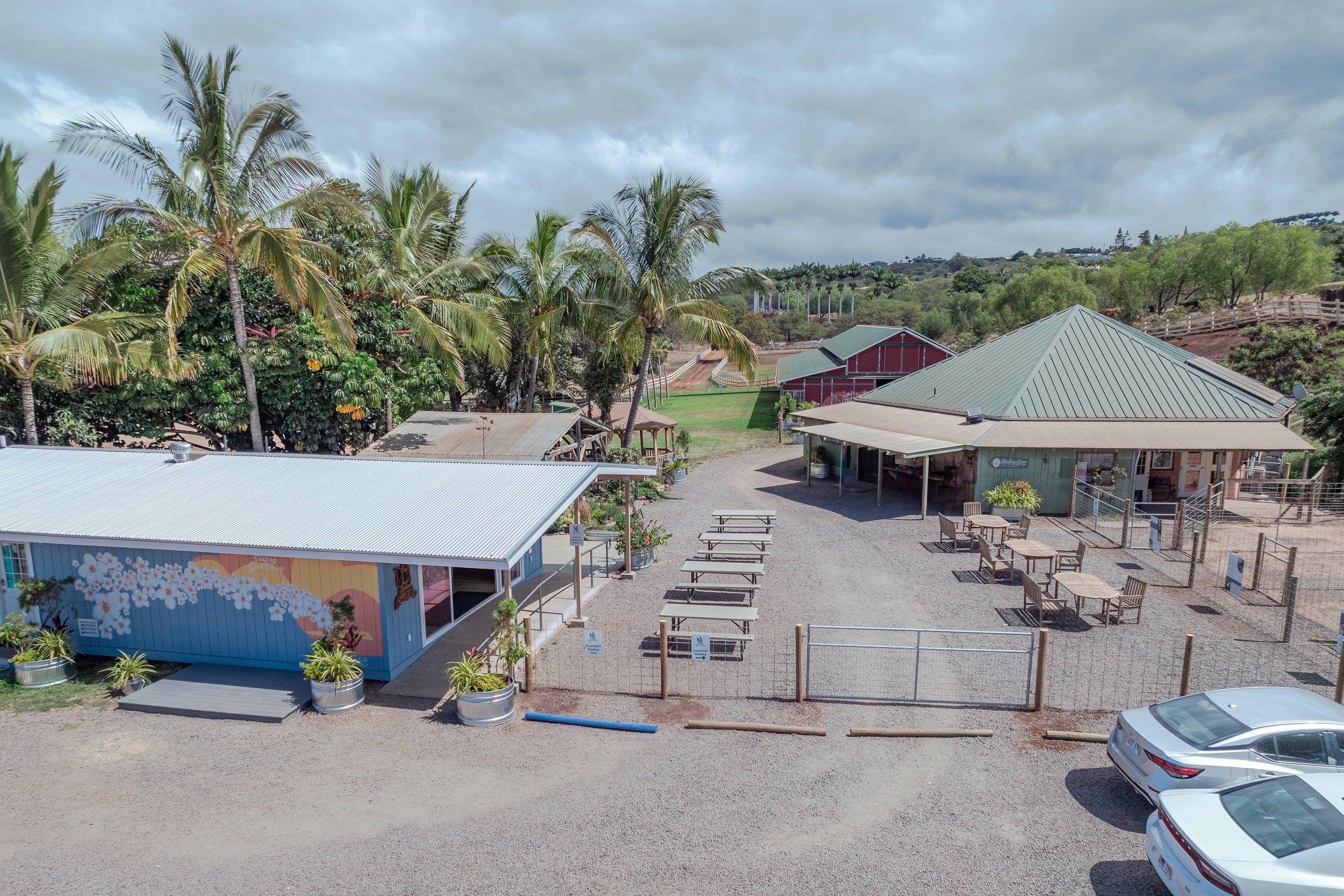 Surfing Goat Dairy