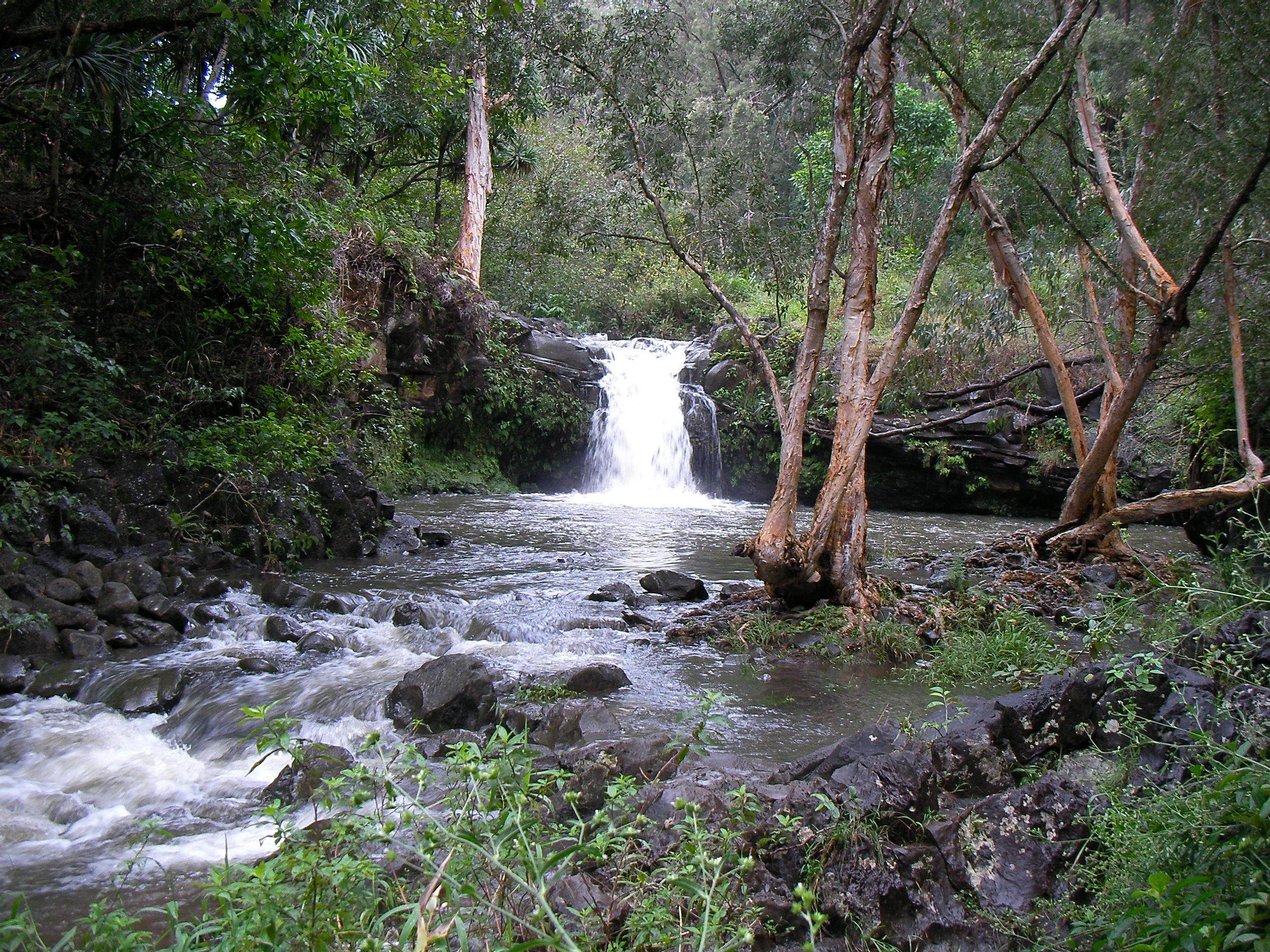 Twin Falls at Wailele Farm