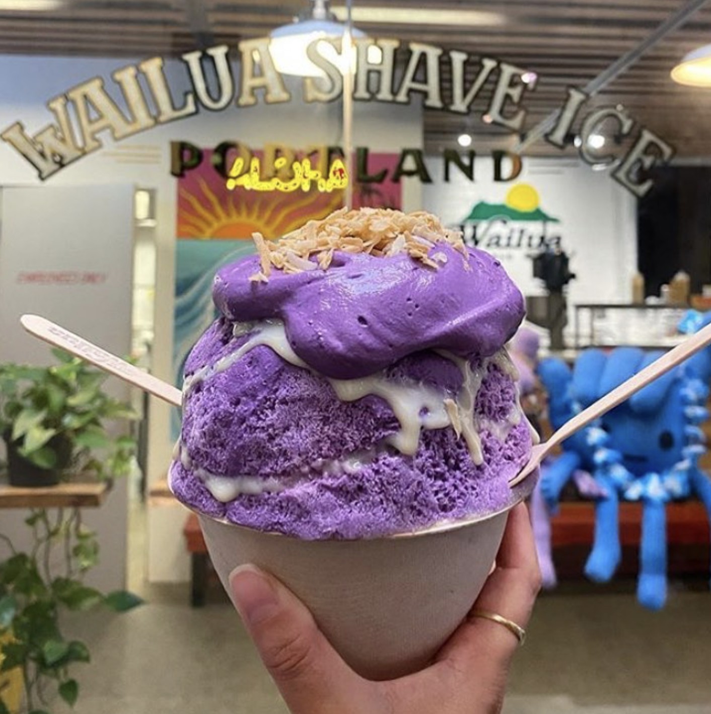 Wailua Shave Ice