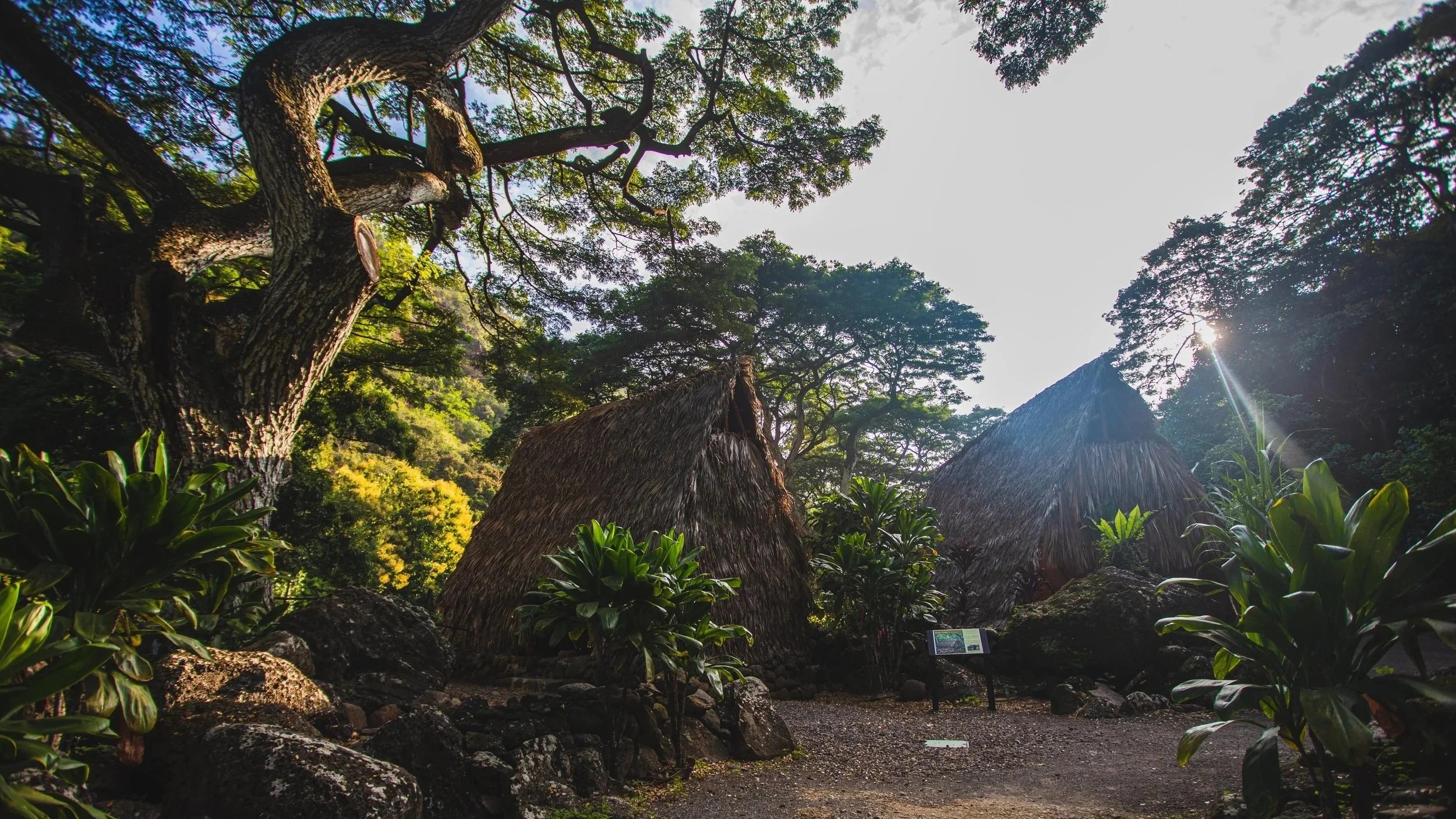 Waimea Valley