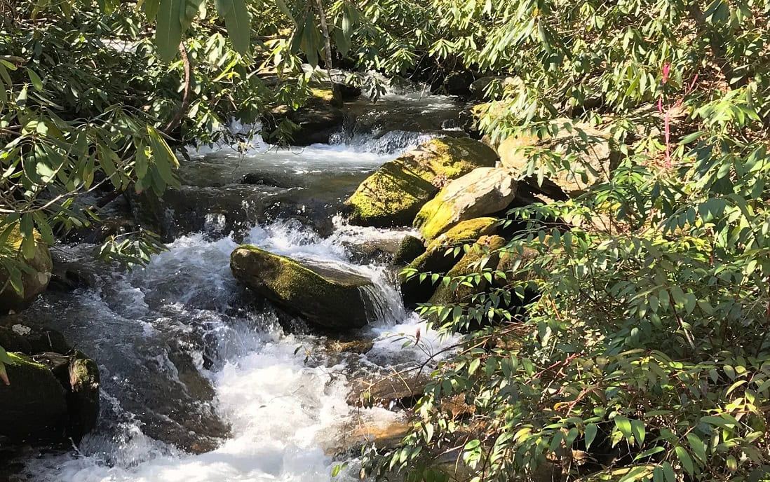 Wildcat Rock Trail — photo 3